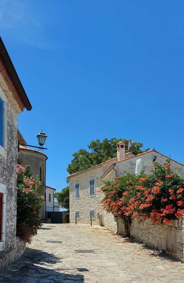 The Istrian Villa Vrsar Exterior photo